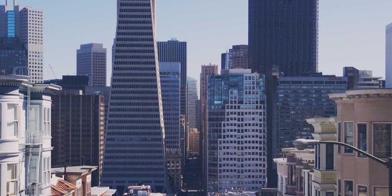 从画布到自然:艺术家张成民如何以创作理念构建生态保护的个人品牌