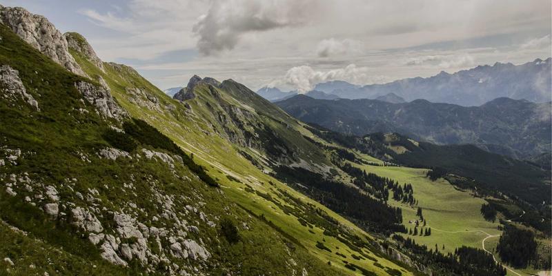 从艺术创作到社会治理：张成民如何用个人品牌与创作理念重塑社区生态
